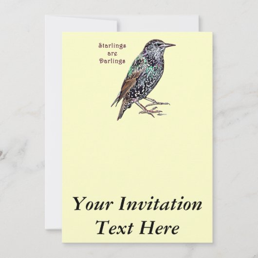 Invitation Les étourneaux sont des chéris (Devant)
