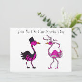 Invitation Les Flamants Nous Rejoignent (Debout devant)