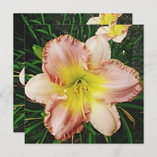 Invitation Les fleurs du printemps (Devant / Derrière)