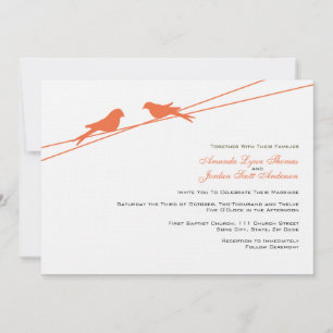 Invitation Les Inséparables orange et blanc sur le fil