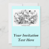 Invitation Les Pigeons Tumbler à courte vue (Devant)