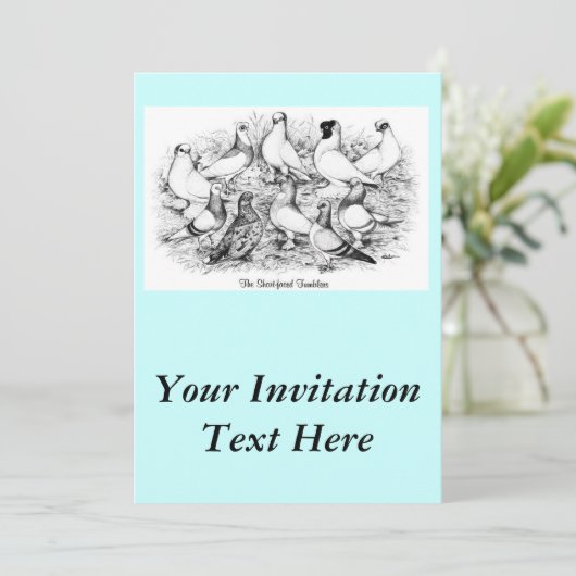 Invitation Les Pigeons Tumbler à courte vue (Debout devant)