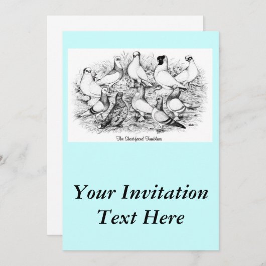 Invitation Les Pigeons Tumbler à courte vue (Devant / Derrière)