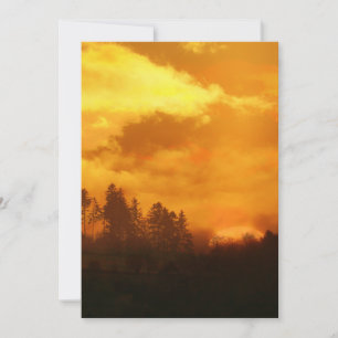 INVITATION LEVER DU MATIN NATURE