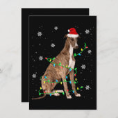 Invitation lévrier lumière de noël joli père noël lévrier (Devant / Derrière)