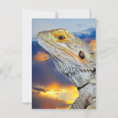 Invitation Lézard gris au coucher du soleil (Dos)