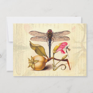 Invitation Libellule Botanique Nature Faune Hoefnagel Art