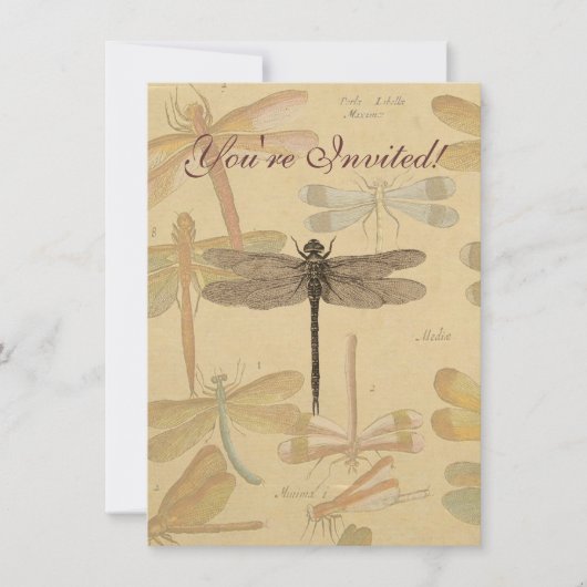 Invitation Libellule Vintage Antique Classique Nature (Devant)