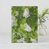 Invitation Lilas blanc (Debout devant)