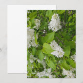 Invitation Lilas blanc (Devant / Derrière)