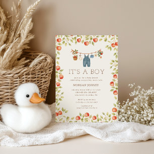 Invitation Linge de bébé de ferme Baby Shower