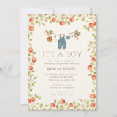 Invitation Linge de bébé de ferme Baby Shower (Devant)