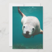 Invitation Lion de mer sous-marin bleu marine Mariage côtier  (Dos)