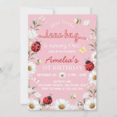 Invitation Little Love Bug Ladybug Daisy Birthday Party (Devant)
