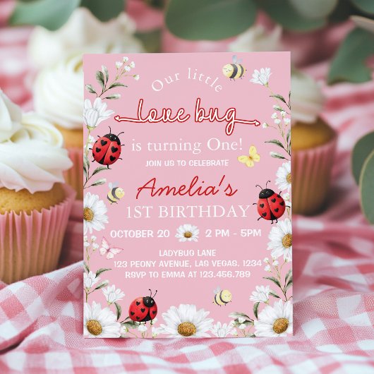 Invitation Little Love Bug Ladybug Daisy Birthday Party