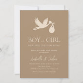 Invitation Livraison de bébé Stork Garçon ou fille Révélation (Devant)