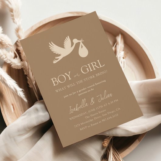 Invitation Livraison de bébé Stork Garçon ou fille Révélation