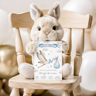 Invitation Livraison Spéciale! Garçon Bébé Cigogne Baby Show