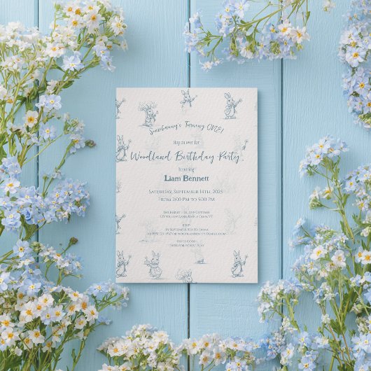 Invitation Livre d'Histoire Petit Lapin Pierre 1er Anniversai