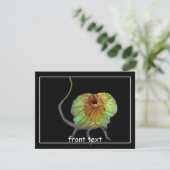 Invitation Lizard hurle (Debout devant)