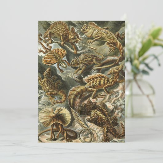 Invitation Lizard (Lacertilia) par Haeckel (Debout devant)