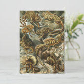 Invitation Lizards par Ernst Haeckel Vintage Lacertilia Anima (Debout devant)