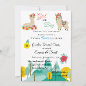 Invitation Llama Colorful Genre Reveal Party (Devant)