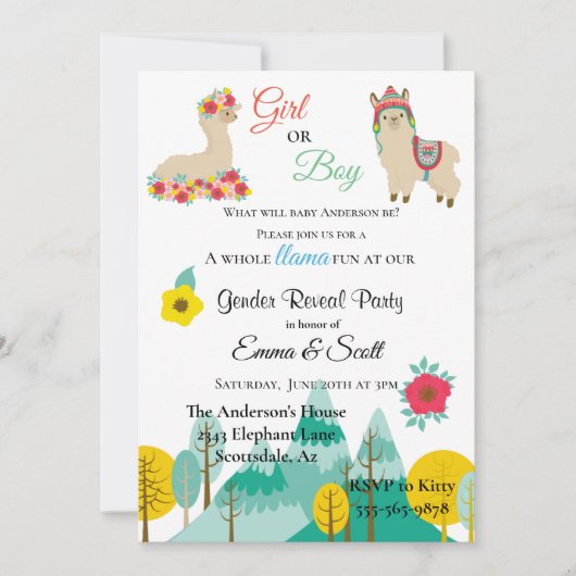 Invitation Llama Colorful Genre Reveal Party (Devant)