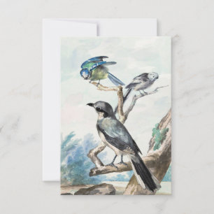 Invitation Long-tailed Tit, Blue Tit and Great Gray Shrike
