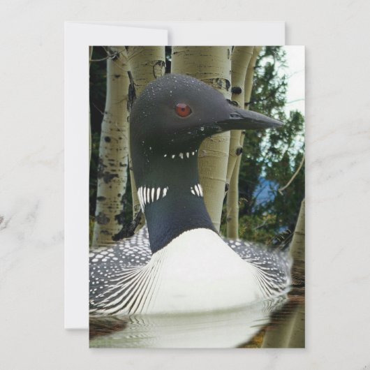 Invitation Loon sauvage (Devant)