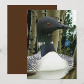 Invitation Loon sauvage (Devant / Derrière)