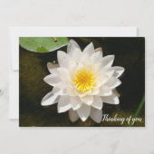 Invitation Lotus Nymphéa Flottant (Devant)