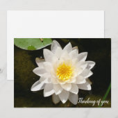 Invitation Lotus Nymphéa Flottant (Devant / Derrière)