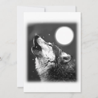Invitation Loup Hurleur à la Lune