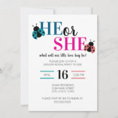 Invitation Love Bug Spring Gender Reveal Party (Devant)