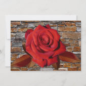 Invitation Love Story Romance Livre nuptiale douche Invitatio (Dos)