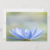 Invitation Lumières de ficelle de lotus bleu pour la fête de  (Dos)