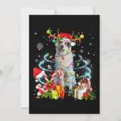 Invitation Lumières des sapins de Noël des Grands Pyrénées Pa (Dos)