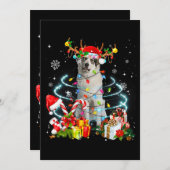 Invitation Lumières des sapins de Noël des Grands Pyrénées Pa (Devant / Derrière)