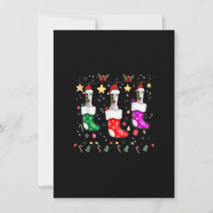 Invitation Luminaires de Noël Greyhound Cadeau amusant Noël C