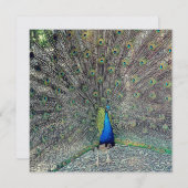 Invitation Luxe : Perlez le miroitement 5,25" x 5,25" (Devant / Derrière)