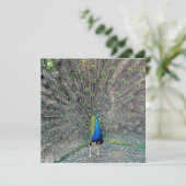 Invitation Luxe : Perlez le miroitement 5,25" x 5,25" (Debout devant)