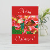 Invitation Lys de Noël I (Debout devant)