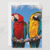 Invitation Macaw bleu et jaune et macaw Scarlet (Dos)