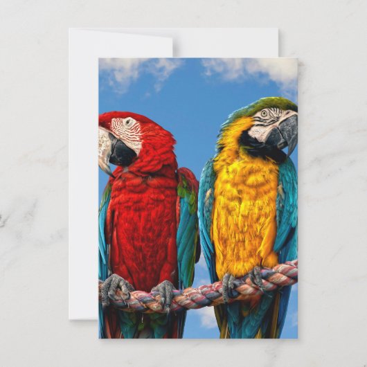 Invitation Macaw bleu et jaune et macaw Scarlet (Devant)