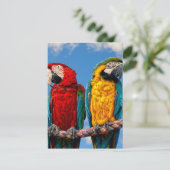 Invitation Macaw bleu et jaune et macaw Scarlet (Debout devant)