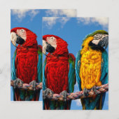 Invitation Macaw bleu et jaune et macaw Scarlet (Devant / Derrière)