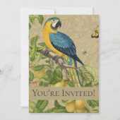 Invitation Macaw Blue Jaune Tropical Jungle Antique (Devant)