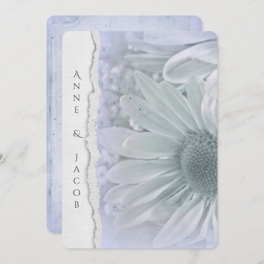 Invitation macro marguerite en teinte violette avec bord de p (Devant / Derrière)