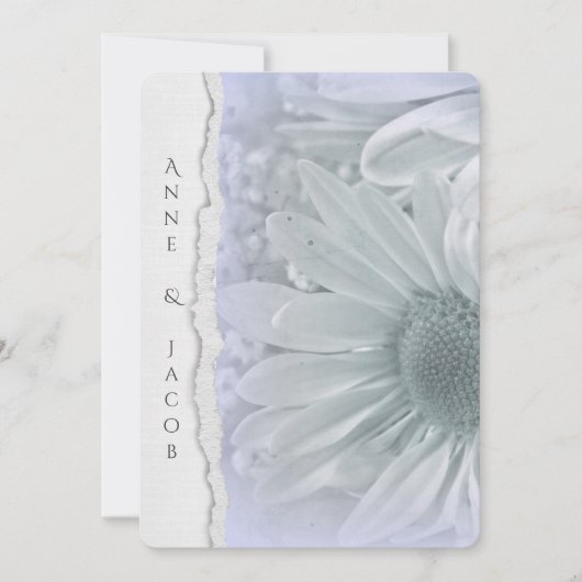 Invitation macro marguerite en teinte violette avec bord de p (Devant)